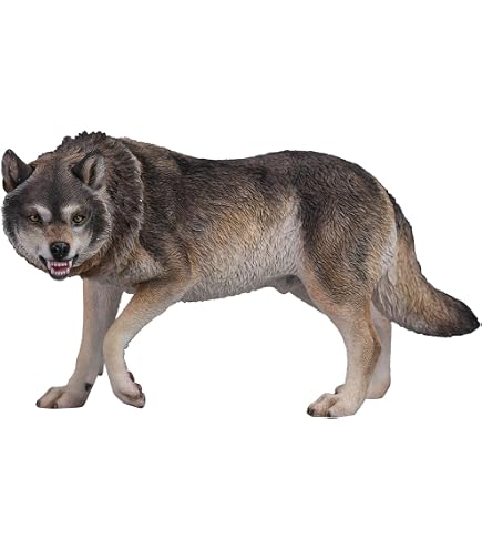 Amazon | Mr.Z 1/6 サイズ オオカミ 狼 ウルフ 動物 フィギュア リアル
