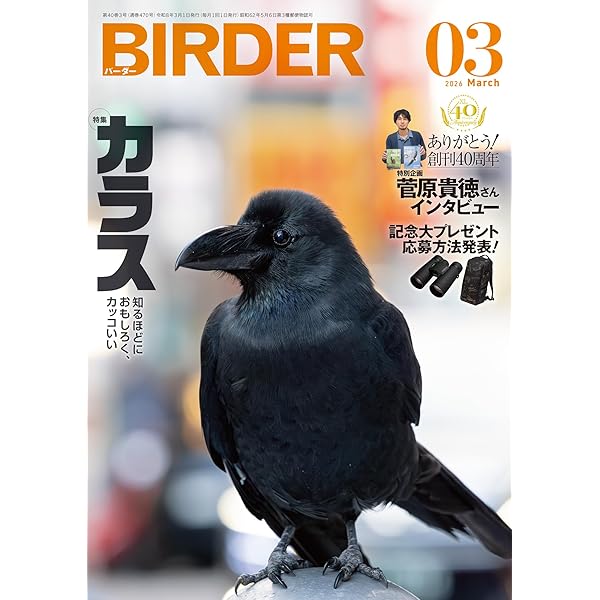 BIRDER (バーダー) 2023年 06月号 [雑誌] | BIRDER編集部 | 趣味
