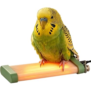 Amazon.co.jp 最新リリース: 鳥用品 の新着ランキングです。