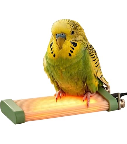 Amazon | PAVIKE鳥 ヒーター 加熱式鳥止まり木 インコ ヒーター 加熱式
