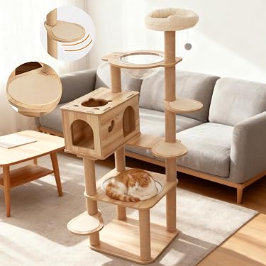 Amazon | 「2026年の新スタイル」Nonta キャットタワー 木製 大型猫用