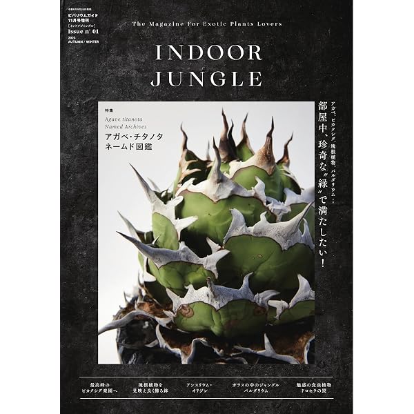 INDOOR JUNGLE No.03 (2025-12-24) [雑誌] | エムピージェー | 趣味