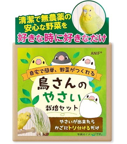 Amazon.co.jp: 本 マハーヤーナ No.8 オウム真理教 麻原彰晃 : ペット用品