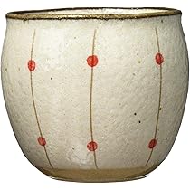 犬山焼　急須　湯呑み 古犬山焼 赤絵 茶器セット（急須と湯呑み5客） - メルカリ