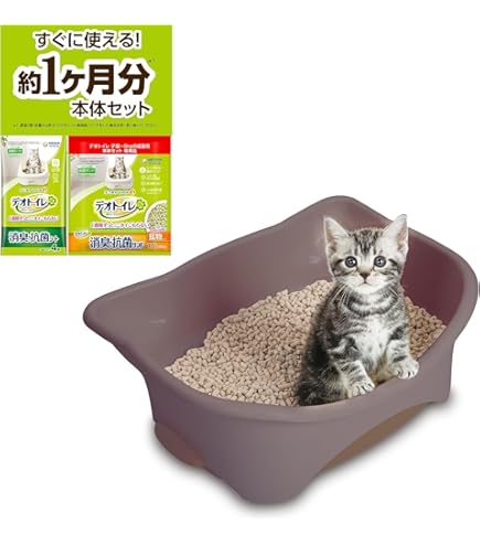 Amazon.co.jp: あのちゃん ano 猫猫吐吐 トレーディング カード AIDA