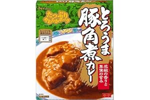 ハウスとろうま豚角煮カレー 200g ×5個 パウチ,箱 [レンジ化対応・レンジで簡単調理可能]