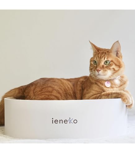 Amazon | pet-189 猫用 爪とぎベッド シェーカーボックス型 おしゃれ