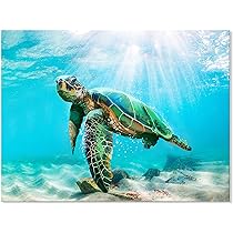 カラフルなウミガメの原画　キャンバス　アート 現代アート　動物画　海 Amazon.co.jp: JAPO ART 緑 ウミガメ 壁装飾 トロピカル