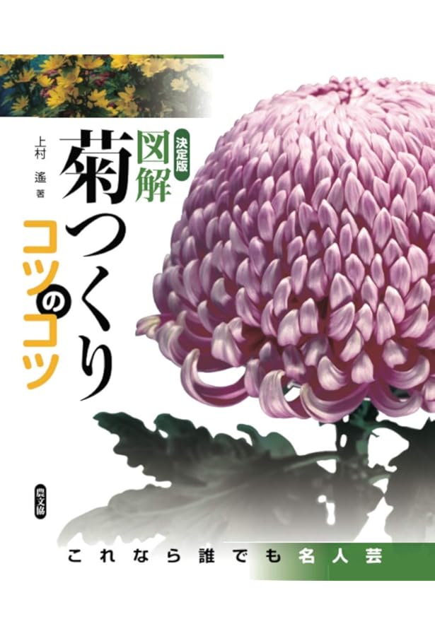 大ギク (NHK趣味の園芸 よくわかる栽培12か月) | 山本 和美 |本 | 通販
