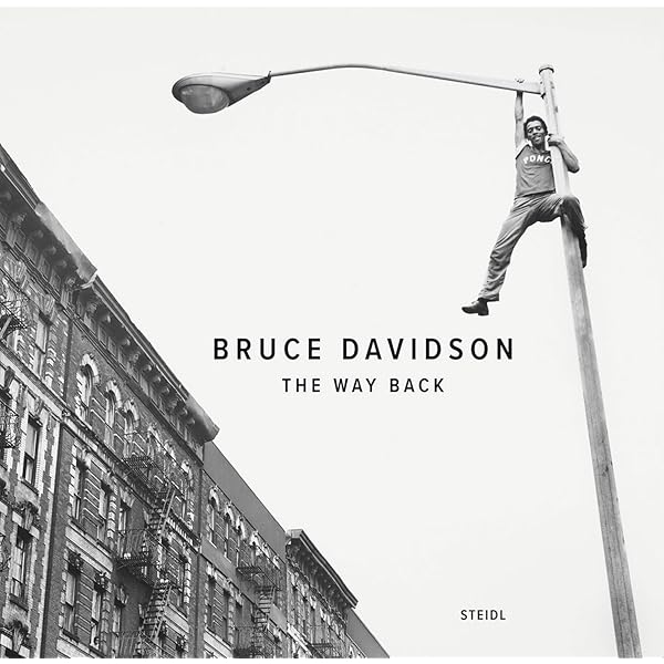 美品◾️絶版 Bruce Davidson: Outside Inside送料込み adventure and modern sonic gijinkas that live rent free in