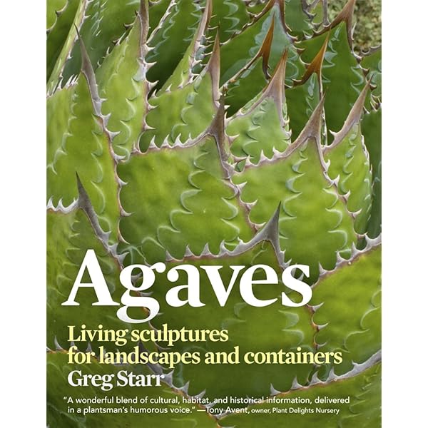 洋書 Agaves: Species, Cultivars & Hybrids 036D72B9-A279-4F27-926E-