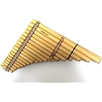 71C4O47dAiL._AC_UL210_SR210,