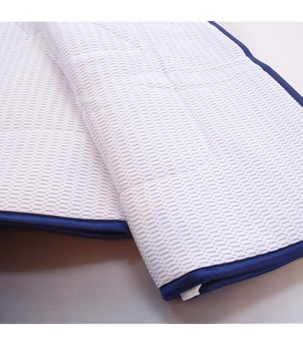 Amazon｜カインズ(CAINZ) 敷きパッド 幅100cm 奥行65cm 厚さ1.5cm