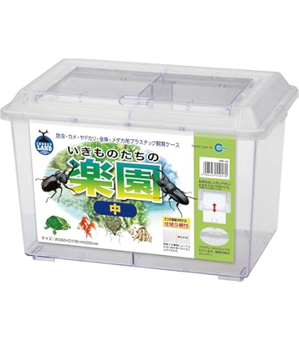 Amazon | コバエシャッター 中 (298×195×210mm) プラケース 虫