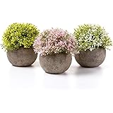 T4U フェイクグリーン 観葉植物 人工観葉植物 造花 インテリア グリーン 3点入り お世話不要 ベビーティアーズ プレゼント