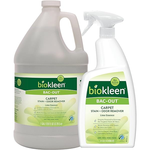 The Best Cat Pee, Odor, And Stain Removal Products, Tested