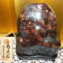 Amazon.co.jp: 菊花石 岐阜県根尾谷産6.4kg 鑑賞石 観賞石 水石 盆石 