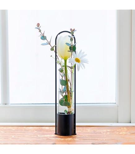 Amazon.co.jp: Fiegcit フラワーベース 試験管 壁掛け花瓶 一輪挿し