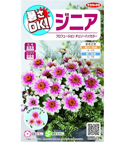 Amazon | サカタのタネ 実咲花6736 ひまわり 切り花用ミックス