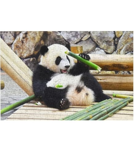 Amazon.co.jp: エポック社 108ピース ジグソーパズル なかよしパンダ