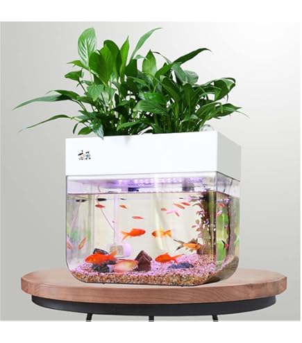 Amazon | おしゃれ アクアリウム アクアポニックス 水耕栽培システム