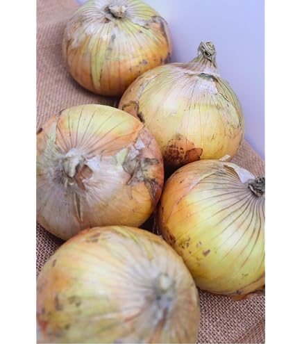 Amazon.co.jp: 【淡路島の大きな甘いたまねぎ】玉ねぎ 5kg 淡路島産