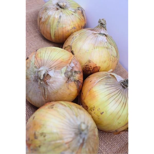 Amazon.co.jp: 【淡路島の大きな甘いたまねぎ】玉ねぎ 5kg 淡路島産