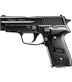 Amazon | 東京マルイ(TOKYO MARUI) No.02 シグ・ザウエルP228 HG 18歳