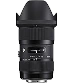 Amazon.co.jp: TAMRON 大口径ズームレンズ SP AF28-75mm F2.8 XR Di