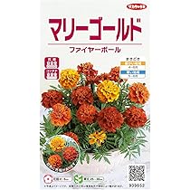 マリーゴールド Amazon｜東京堂 造花 MAGIQ マリーゴールドスプレー ゴールド