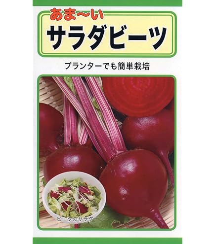 Amazon.co.jp: クソニンジン（オウカコウ）の種 (100) : DIY・工具