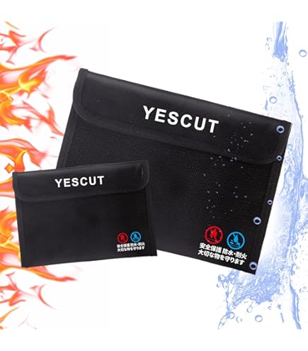 Amazon.co.jp: Cryptosteel Cassette Solo – 耐火ステンレススチール