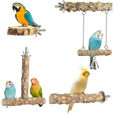 Amazon.co.jp 最新リリース: 鳥用品 の新着ランキングです。
