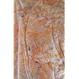 かね徳 紫蘇白魚 1kg