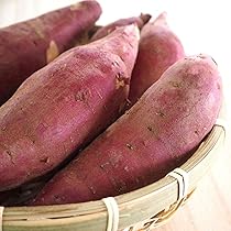 レンゲ大前さん、さつまいも 送料込み おまけ付き 71CNEqgoTRL._AC_UL210_SR210,