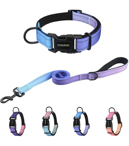 Amazon | azuza 犬 首輪 リード 3M反射 可愛い おしゃれ 頑丈 調節