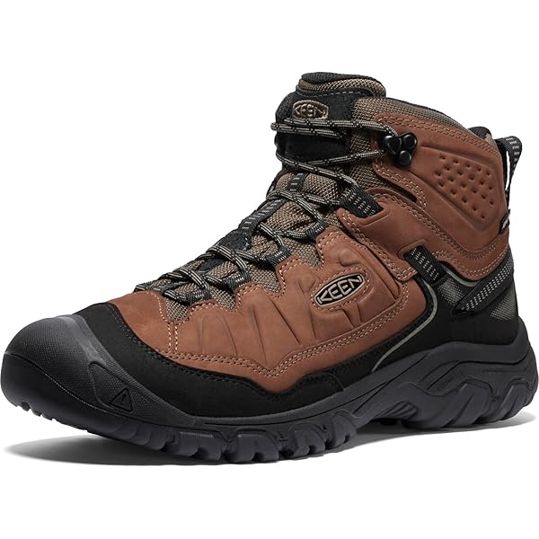 Amazon | SALOMON サロモン QUEST 4 GTX 男性用ハイキングブーツ
