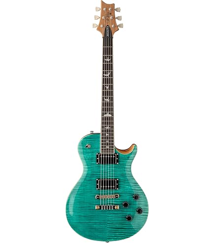 Amazon | SE McCarty 594 Singlecut Charcoal | エレキギター | 楽器