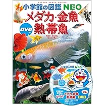 メダカ・金魚・熱帯魚 DVDつき (小学館の図鑑NEO) | 岡本 信明, 橋本