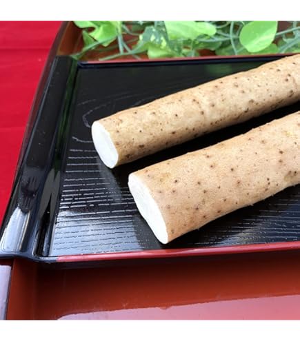 Amazon.co.jp: クーガ芋 10キロ 琉球自然薯 むかしながらの山芋 沖縄