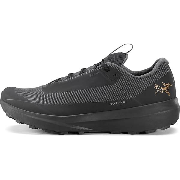 Amazon | Arc'teryx エアリオス オーラ メンズ | ハイキング