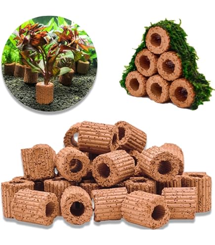 Amazon.co.jp: [水草] 国産 アナカリス30本 国産 無農薬 オオカナダモ