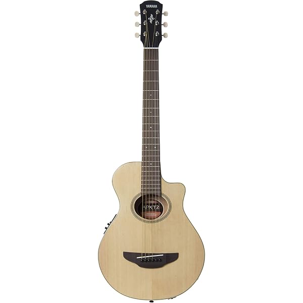 Amazon.co.jp: TAKAMINE PTU121C FCB エレクトリックアコースティック