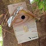 【野鳥用巣箱 組み立てキット】バードハウス組立キットA（前扉タイプ） （説明書つき）親子体験、夏休み工作、自由研究、ＰＴＡ活動に！