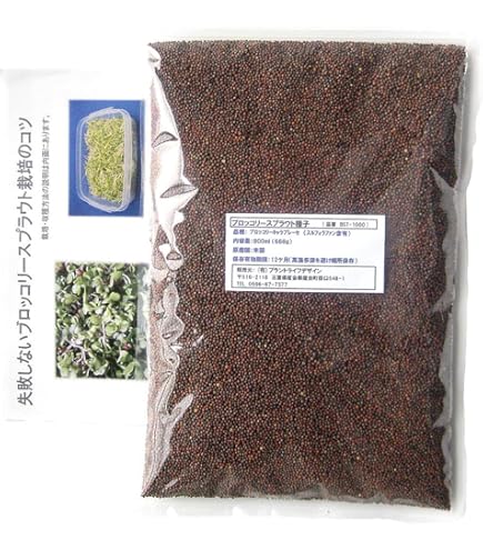 Amazon.co.jp: ♯Jmi14BZぽっちゃりソルジャー全8種パンダの穴