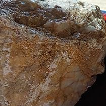 Amazon.co.jp: アンティーク オブジェ 飾り石 インテリア 丸い玉