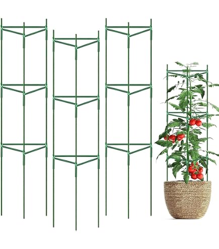 Amazon | DIFEIUKI 植物支柱 三角形 園芸支柱 3セット トマト 植物成長