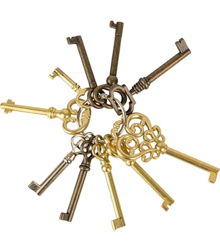 Amazon | スケルトンキーセット - キーリングに10個の鍵