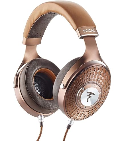 Amazon.co.jp: Dan Clark Audio Corina リファレンス 静電式