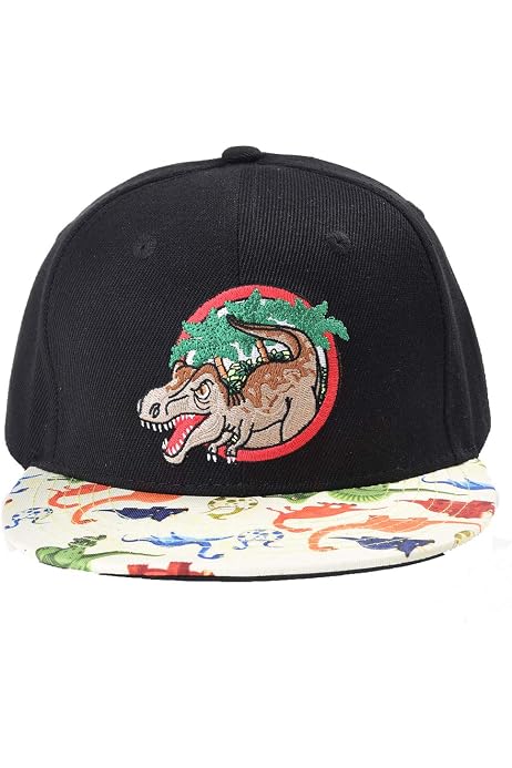 Boys'Dinosaur Baseball Hat Kids Youth 